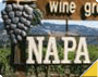 Napa Valley Wine Tours